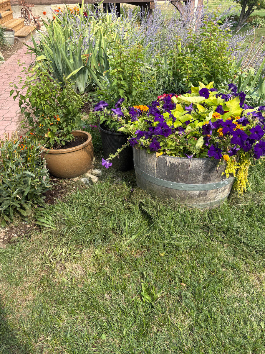 KelownaLandscaping.ca