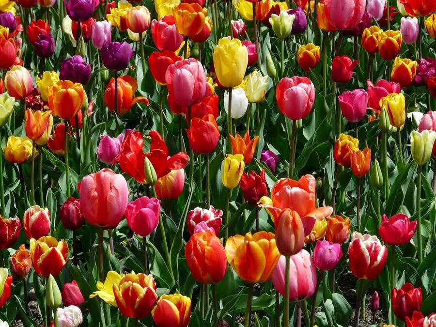 KelownaLandscaping.ca
